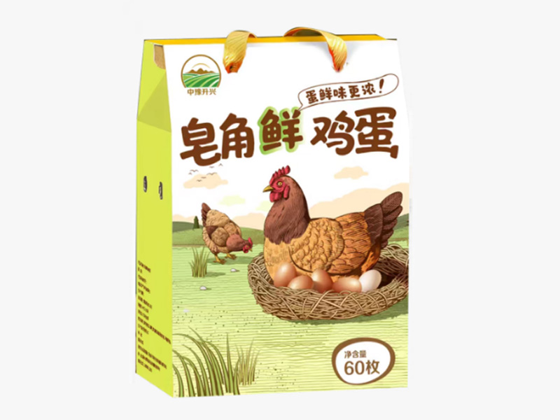 皂角林鲜鸡蛋 • 林间活力